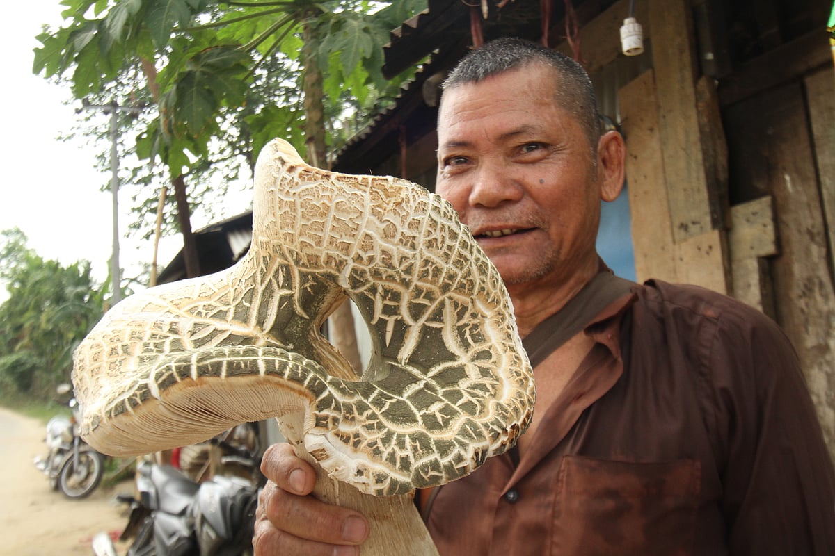 একঝলক ১৮ এপ্রিল ২০২৬