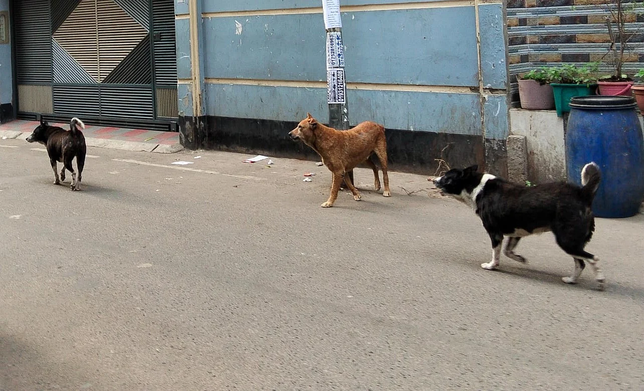 prothomalo-bangla%2F2026-04-18%2Flsi01nnq%2F2.jpeg?w=1536&auto=format%2Ccompress&fmt=webp