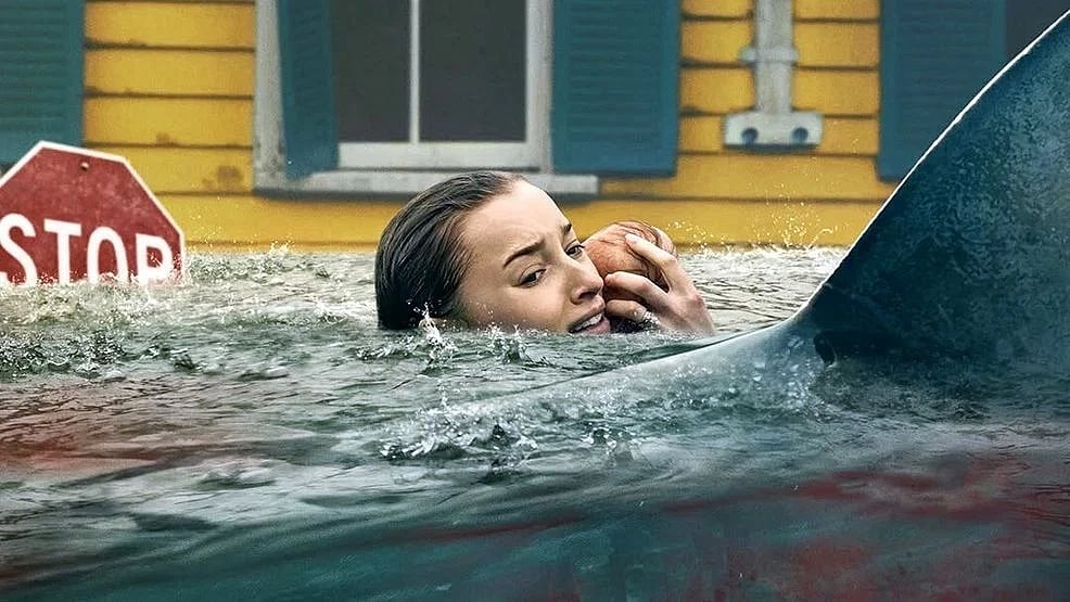 কী আছে নেটফ্লিক্সের আলোচিত ৫ সিনেমায়