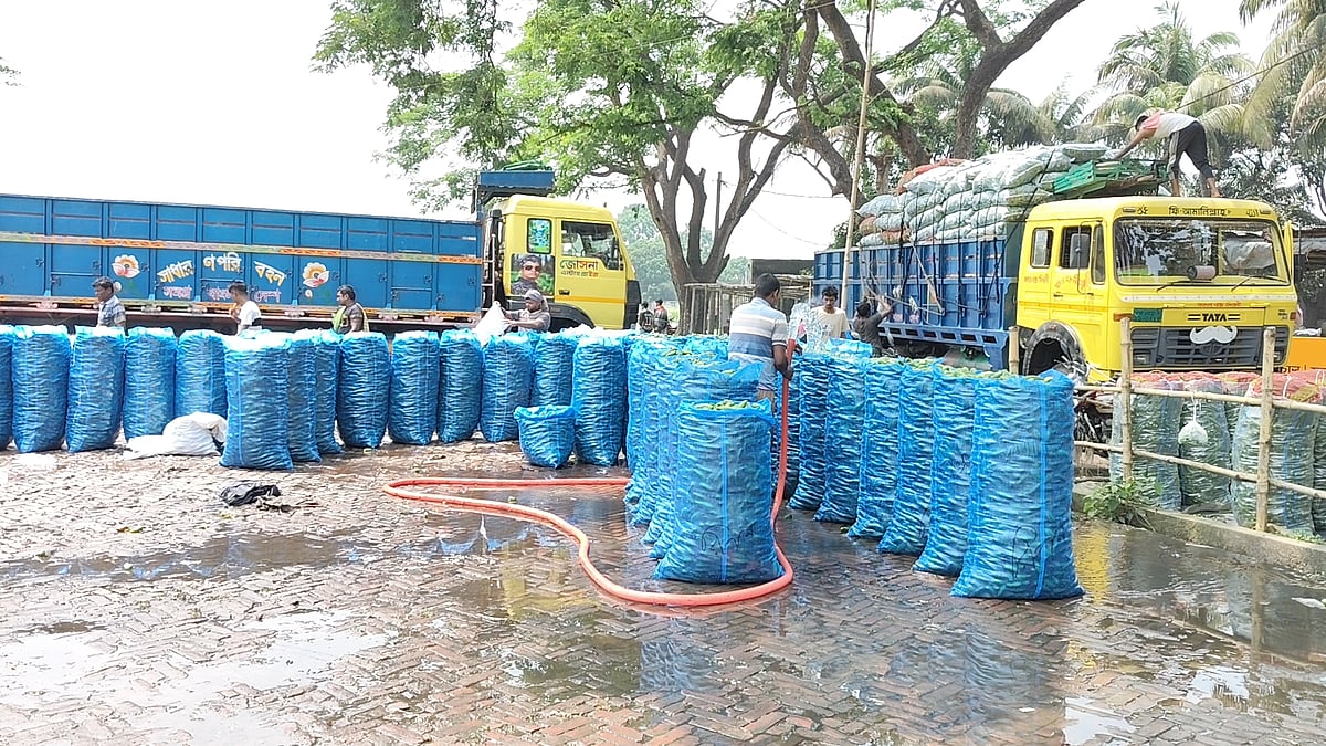 রাজশাহী থেকে ঢাকায় সবজি পরিবহনে ট্রাকের ভাড়া বেড়েছে চার-পাঁচ হাজার টাকা