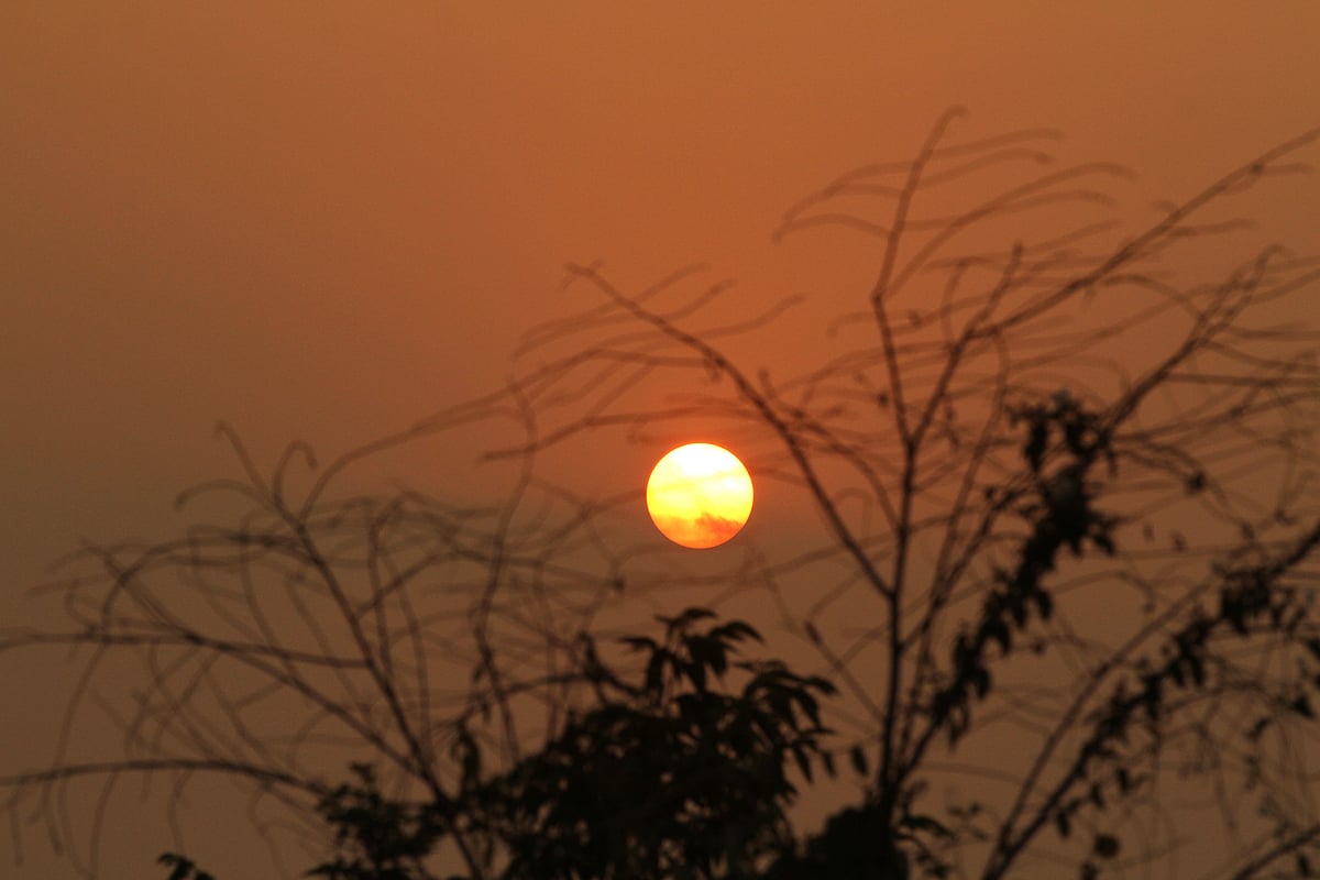 ছবি: সুপ্রিয় চাকমা