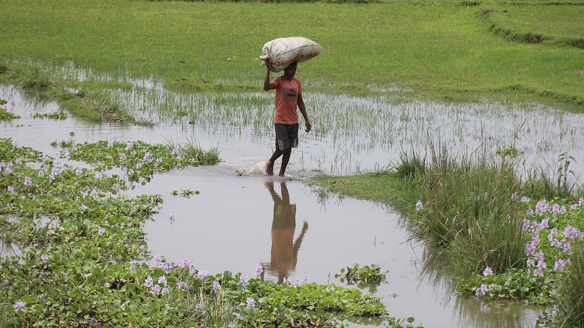 ছবি: আনিস মাহমুদ
