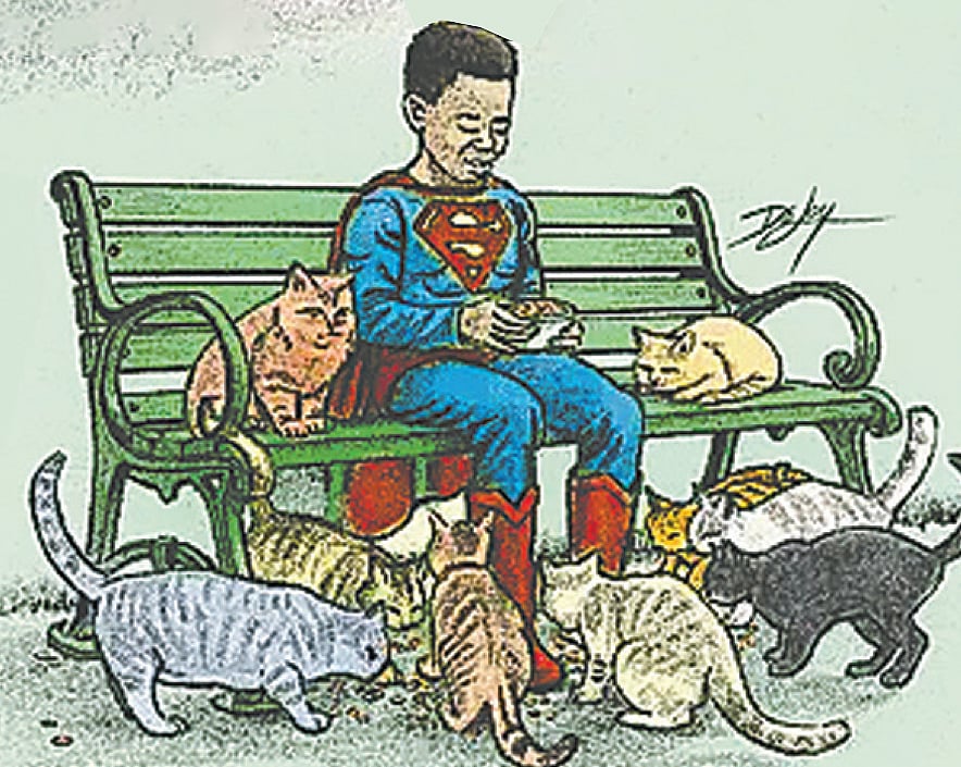 সুপারহিরোর পোশাক পরে অসহায় বিড়ালের যত্ন নেন তিনি