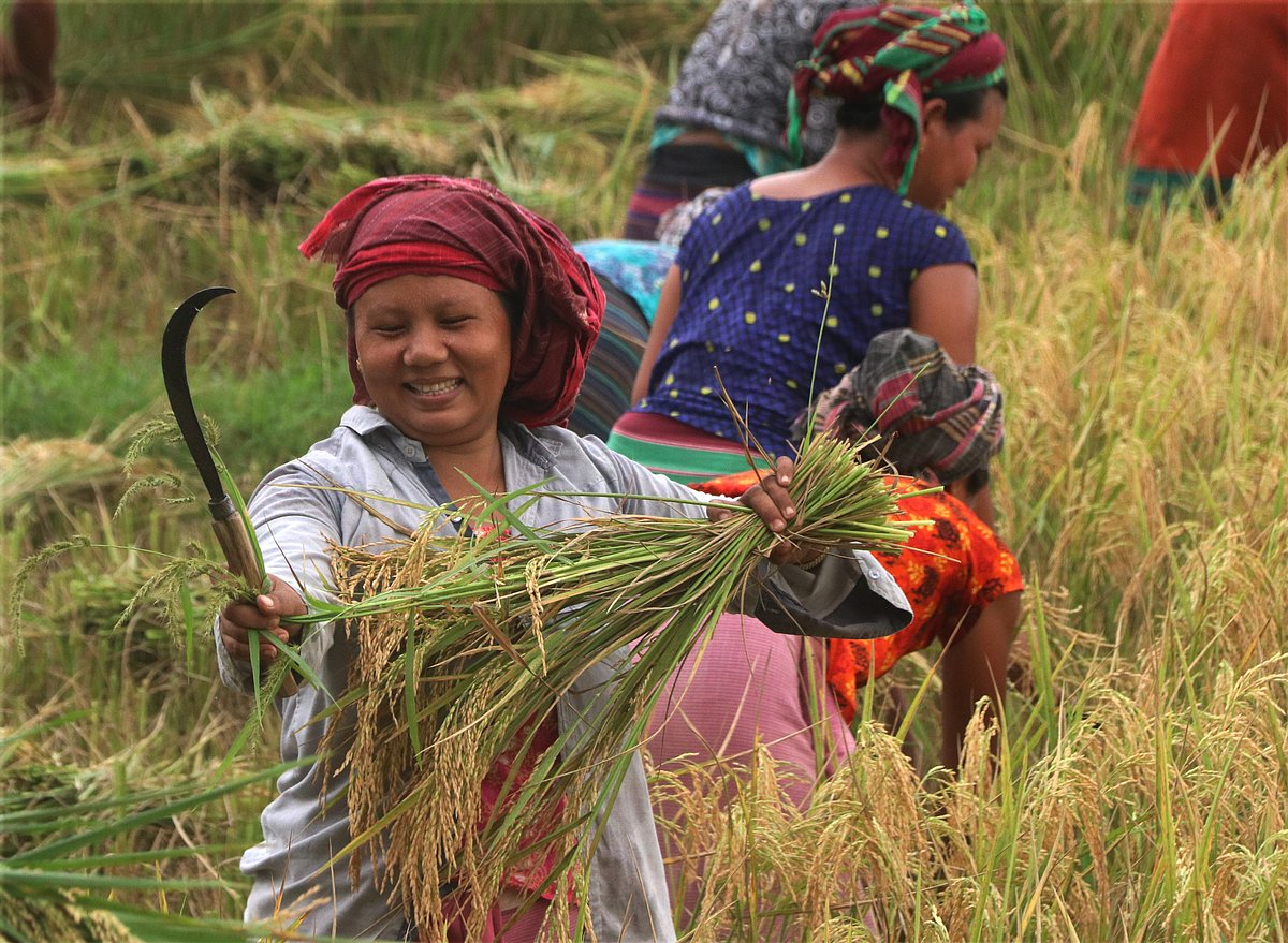 একঝলক (২২ এপ্রিল ২০২৬)