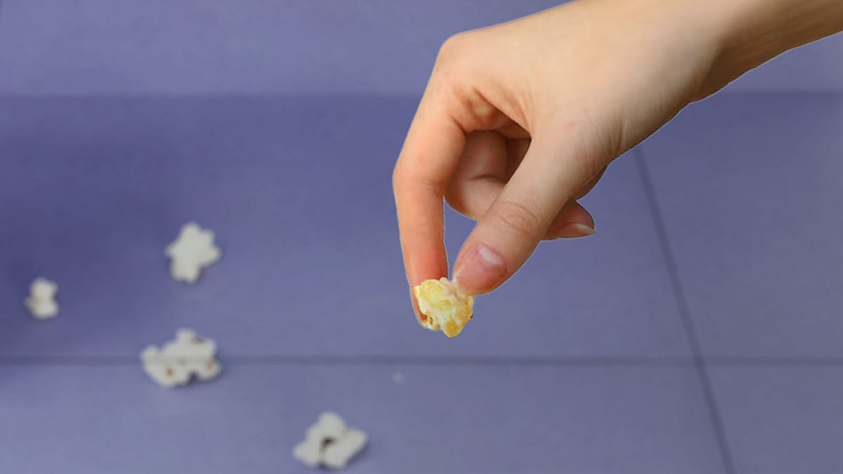 গ্রাফিকস: প্রথম আলো