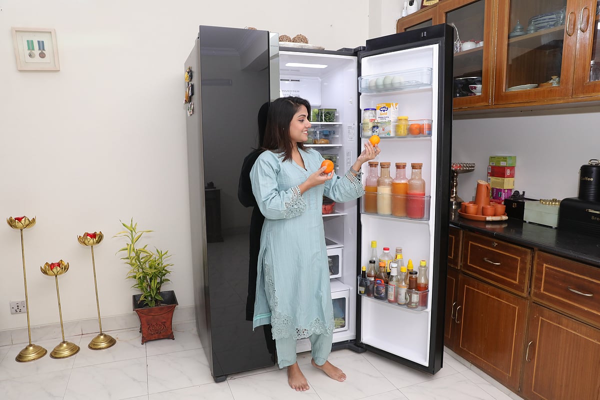 দেশে রেফ্রিজারেটর শিল্পের বিপ্লব