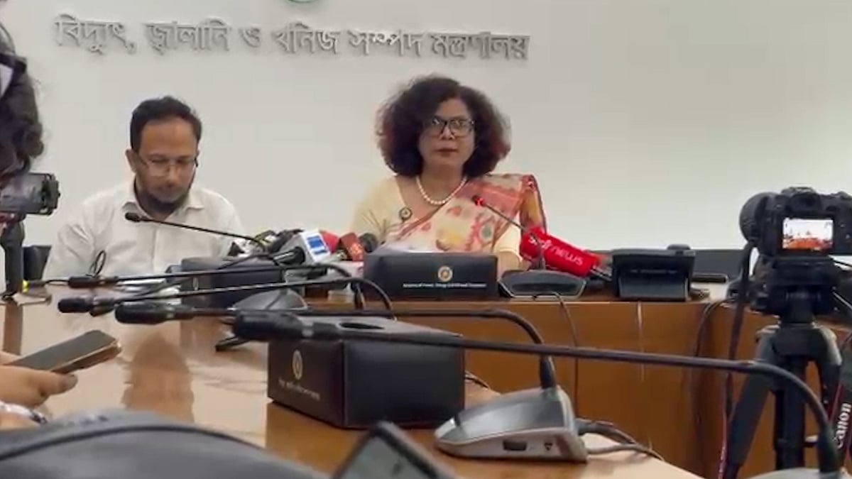 মে মাসের প্রথম সপ্তাহে ১৯৮২ মেগাওয়াট বাড়তি বিদ্যুৎ সরবরাহ সম্ভব: বিদ্যুৎ বিভাগ