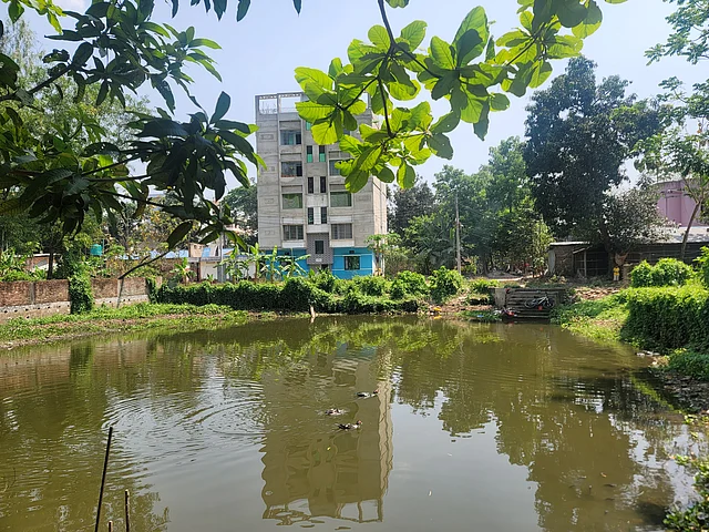 বাড়ির সামনে দীঘি