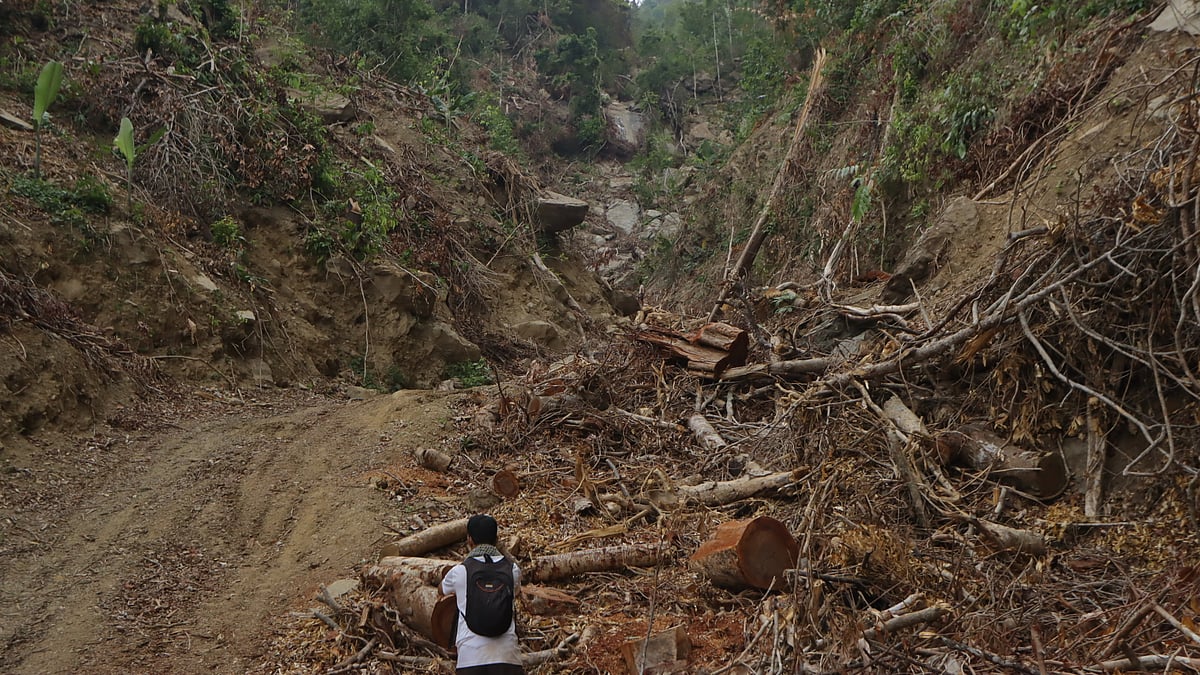 বান্দরবানে পাড়াবনে কাটা পড়ছে শতবর্ষী গাছ