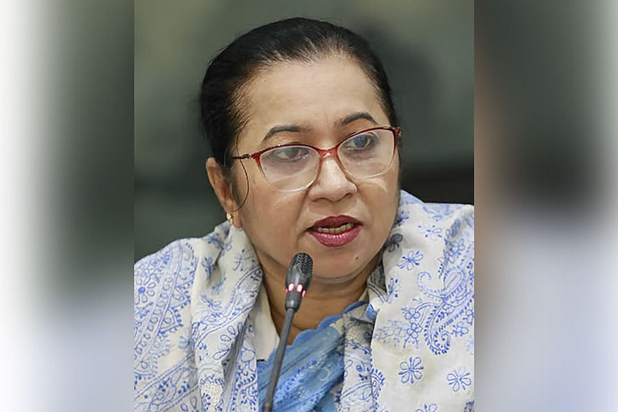 পেশায় আইনজীবী নিলোফার চৌধুরী আয় দেখালেন ব্যবসায়