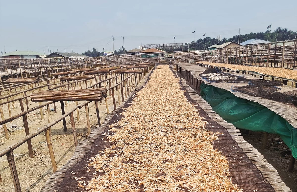 খরতাপ কাজে লাগল না, কক্সবাজারে যে কারণে বন্ধ ছয় শতাধিক শুঁটকিমহাল