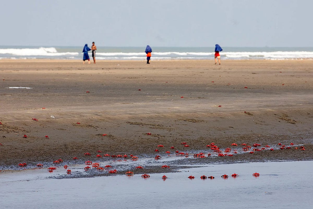 কক্সবাজারের বালুতে কি আসলেই ইউরেনিয়াম সমৃদ্ধ বিরল খনিজ আছে, কেন উত্তোলন হচ্ছে না
