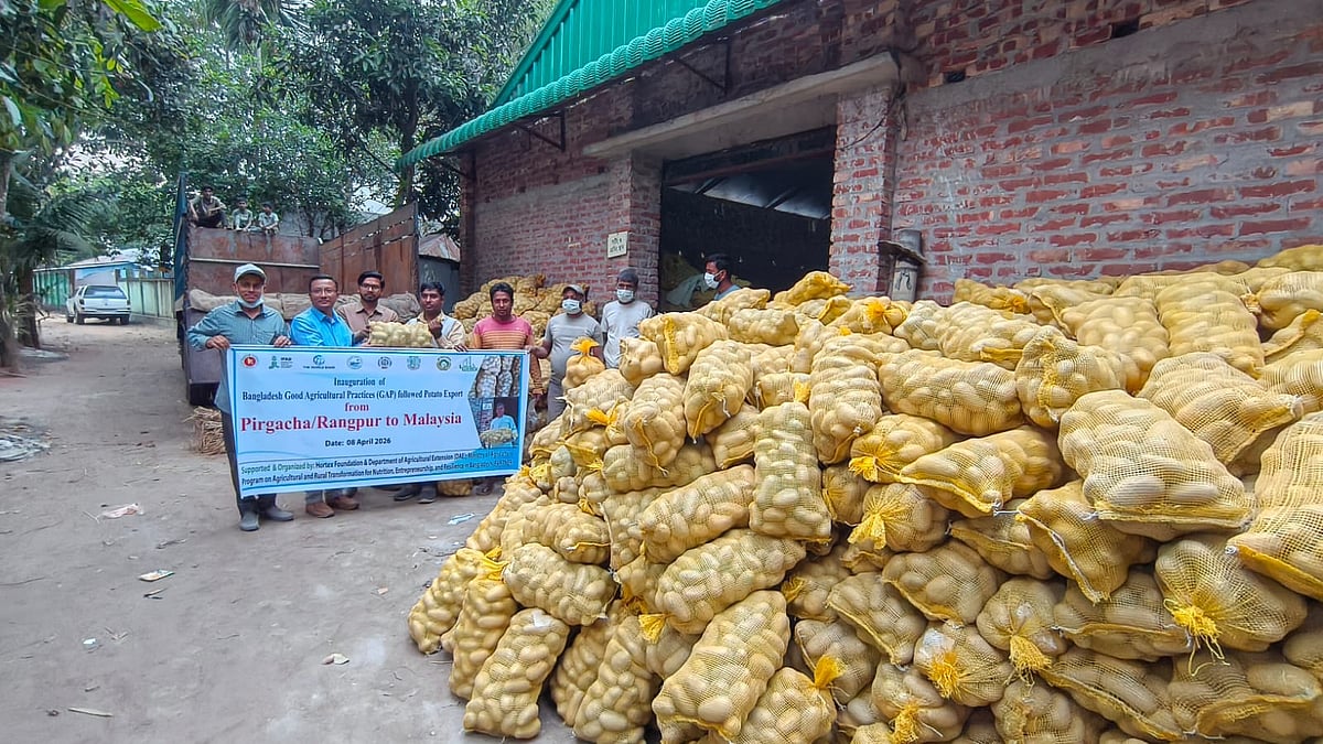 আলু উৎপাদনে শীর্ষে রংপুর রপ্তানিতে পিছিয়ে কেন