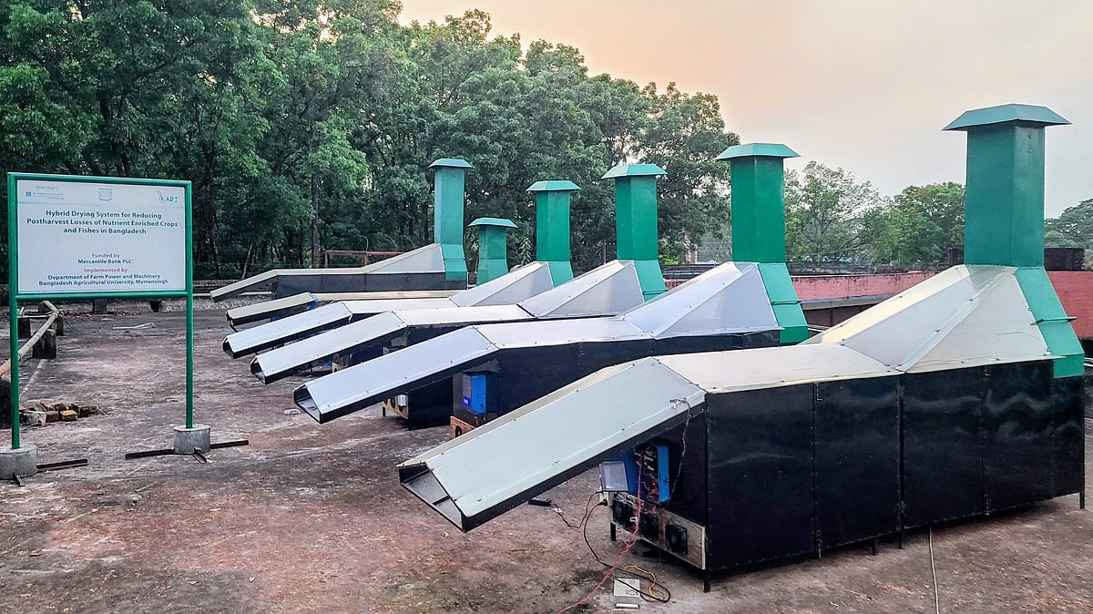 এক যন্ত্রেই শুকানো যাবে মাছ, সবজি ও ফল