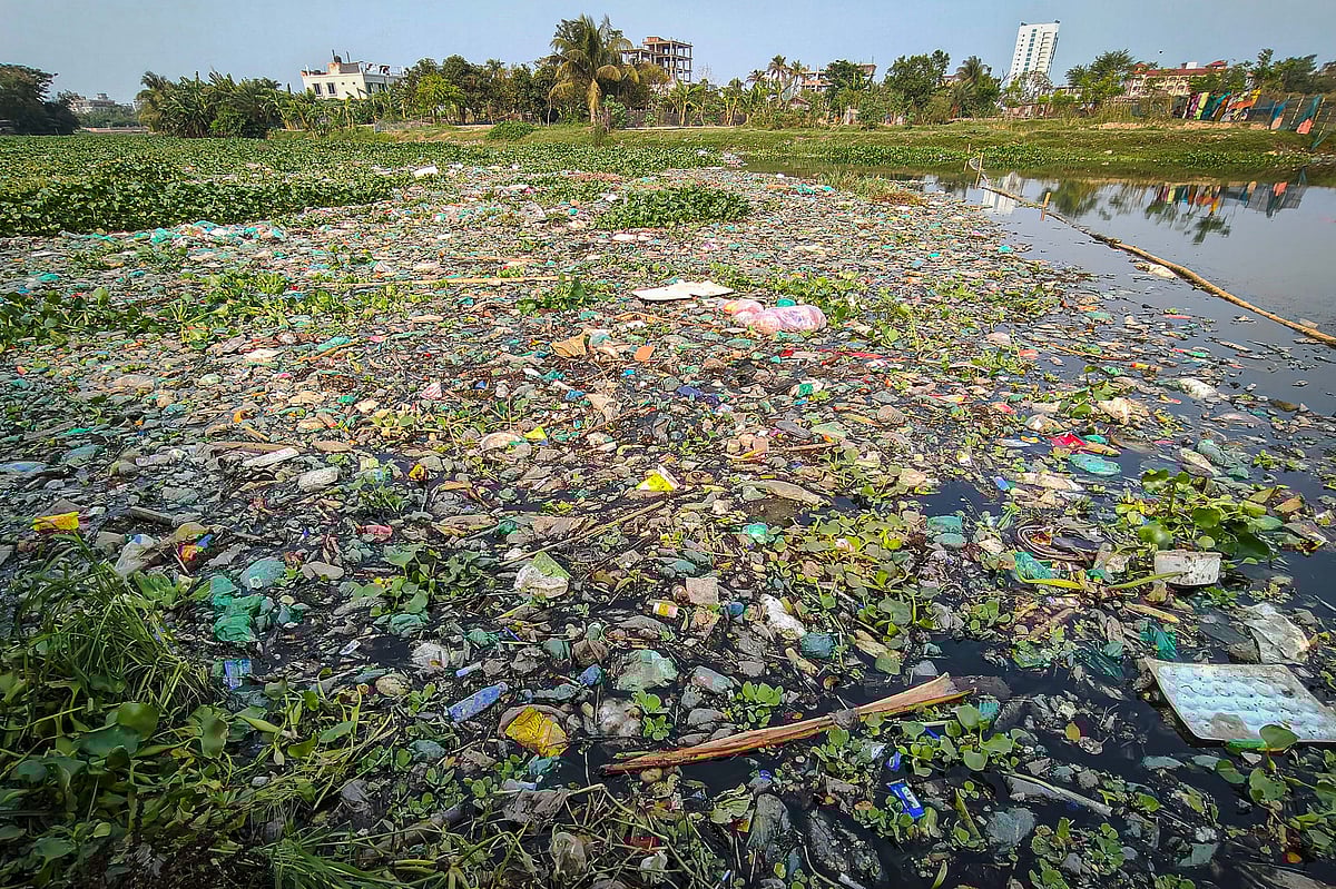 ময়লা–আবর্জনাপূর্ণ ময়ূর নদ 