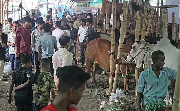 এক মাস পরেই কোরবানি, চট্টগ্রামের বড় পশুর হাটের ইজারা হলো কত টাকায়