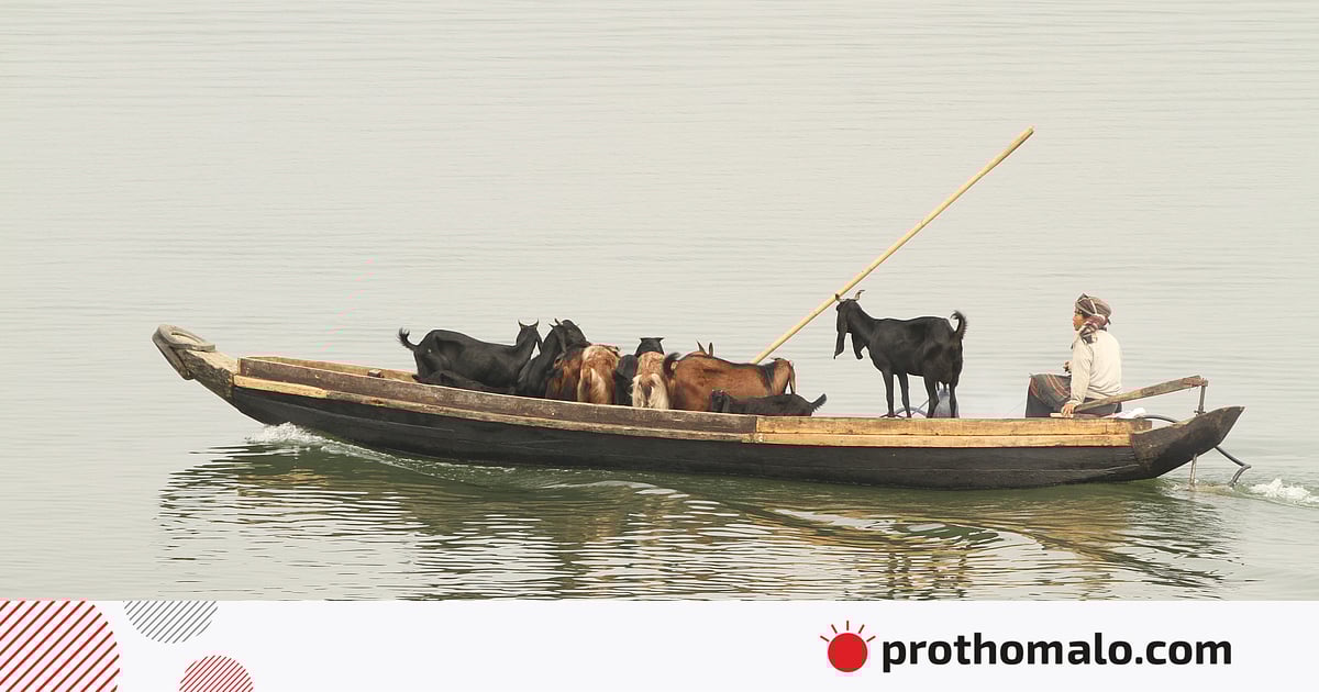 একঝলক (২৬ এপ্রিল ২০২৬) একঝলক (২৬ এপ্রিল ২০২৬)