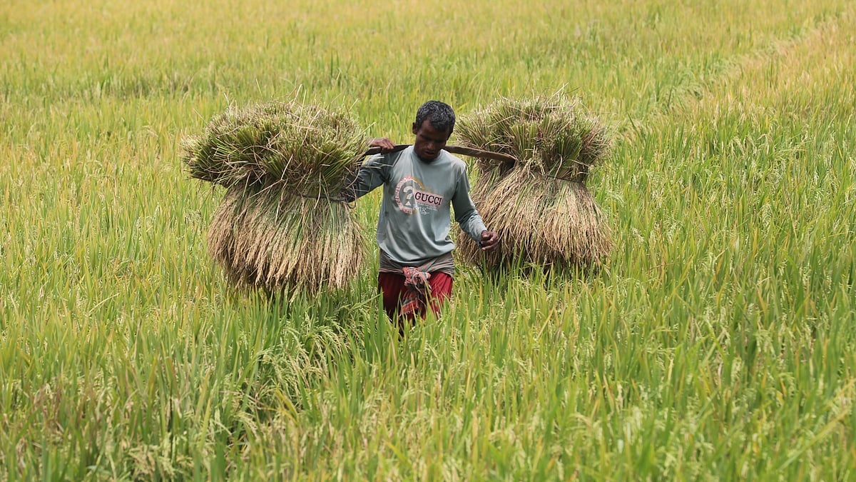 ছবি: সোয়েল রানা