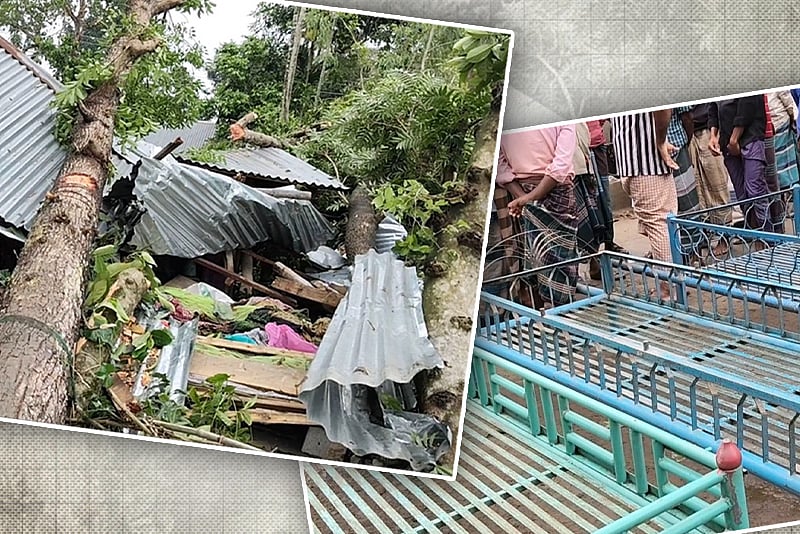 জামালপুরে কালবৈশাখী ঝড়ে গাছ উপড়ে মা ও দুই মেয়ের মৃত্যু