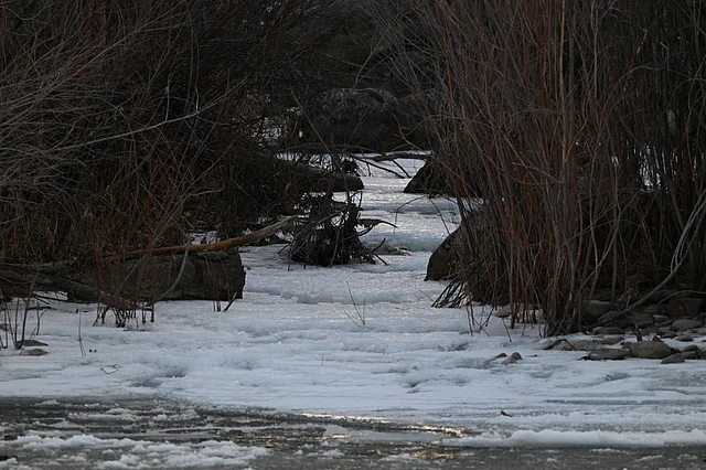 নদী-র বুকে বয়ে চলা গলিত বরফের জল