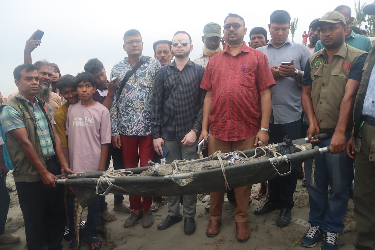 পদ্মায় জেলের বড়শিতে আটকা পড়া কুমিরটি নেওয়া হচ্ছে খুলনায়