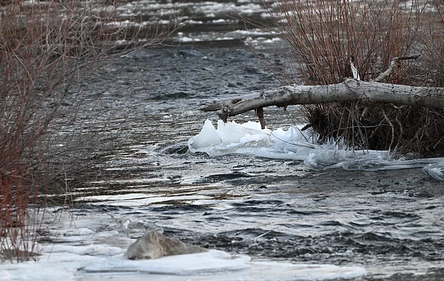 ক্লার্ক ফর্ক নদী-র স্বচ্ছ অথচ প্রবল স্রোত