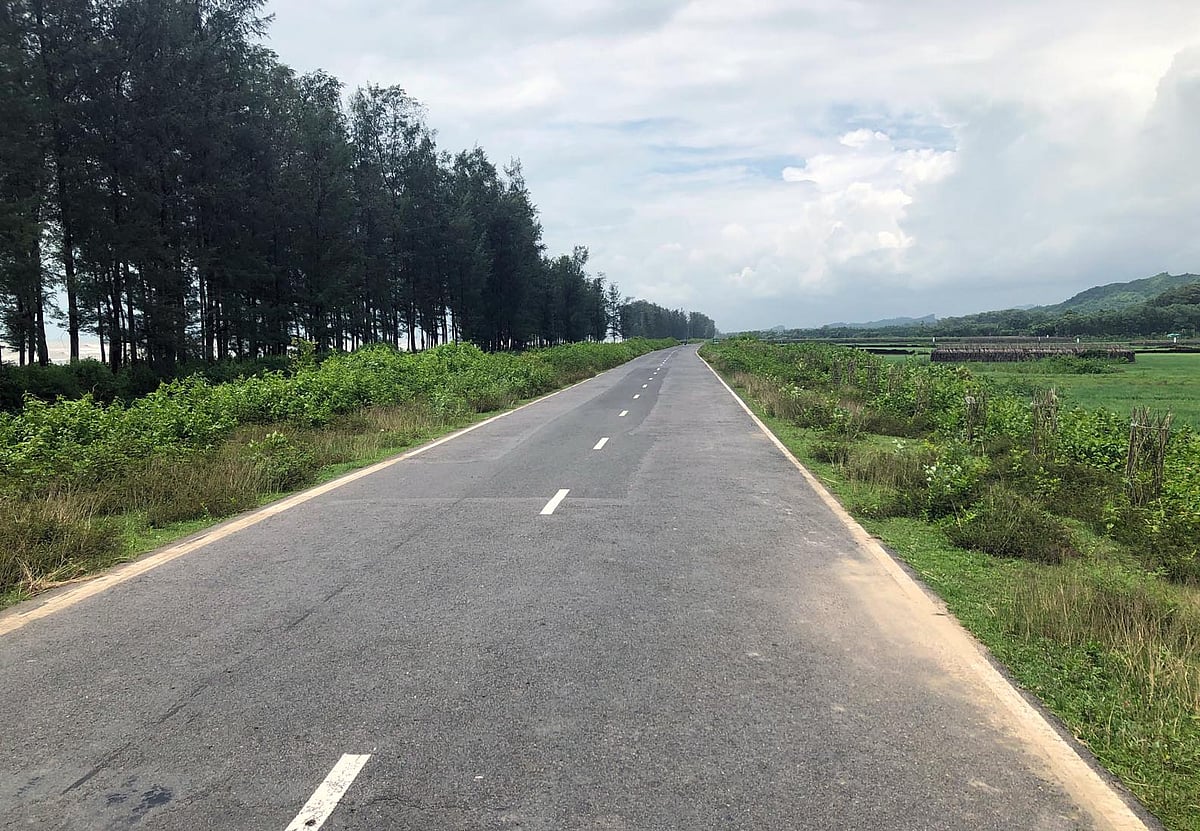 গাছ না কেটে মেরিন ড্রাইভ সড়ক প্রশস্তকরণ প্রকল্প এগিয়ে নেওয়ার নির্দেশ প্রধানমন্ত্রীর