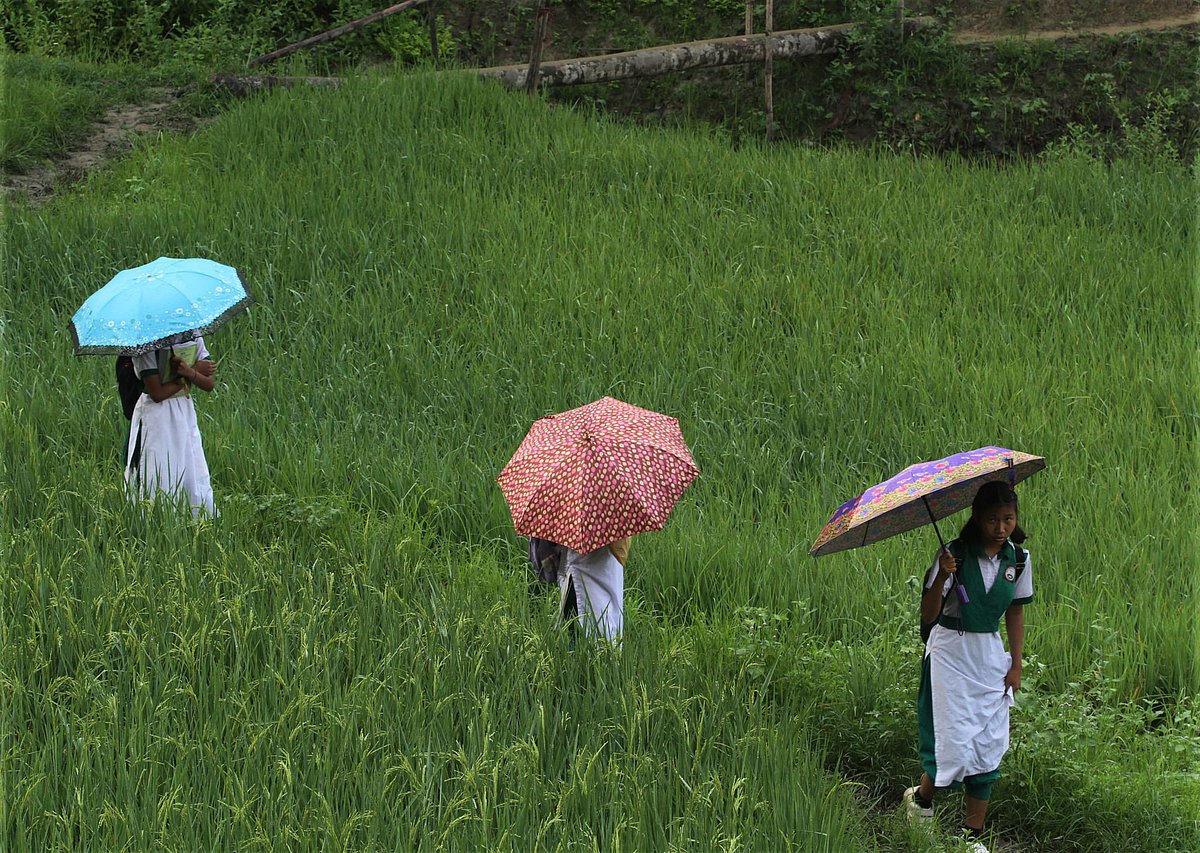 একঝলক (২৯ এপ্রিল’২০২৬)