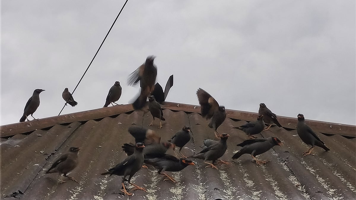  ছবি: সাজেদুল আলম