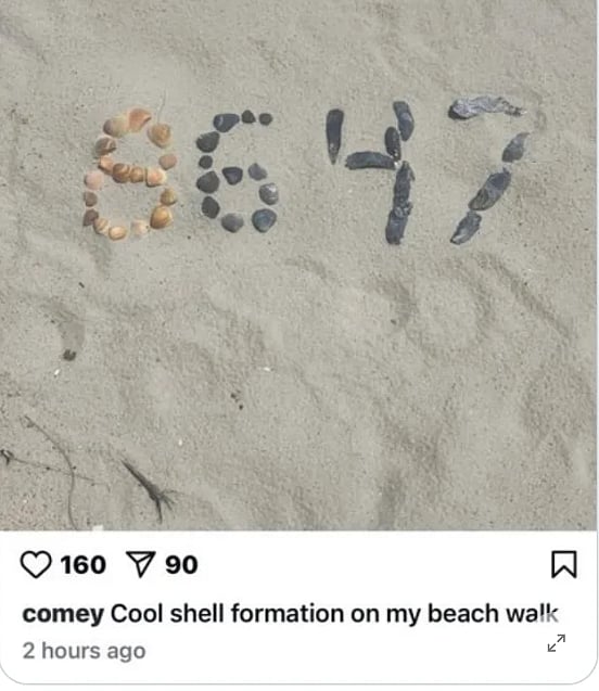 ছবি: এক্স