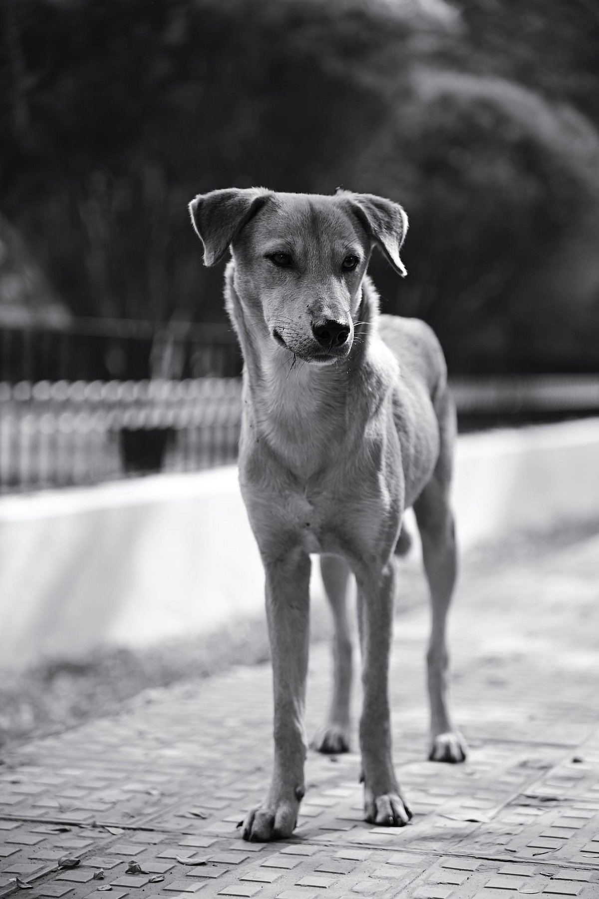 প্রতীকী ছবি: পেক্সেলস