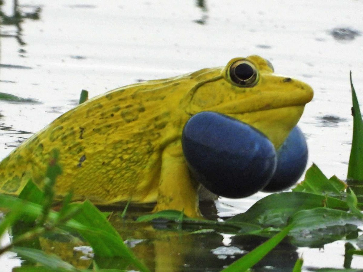 ছবি: রেজা খান