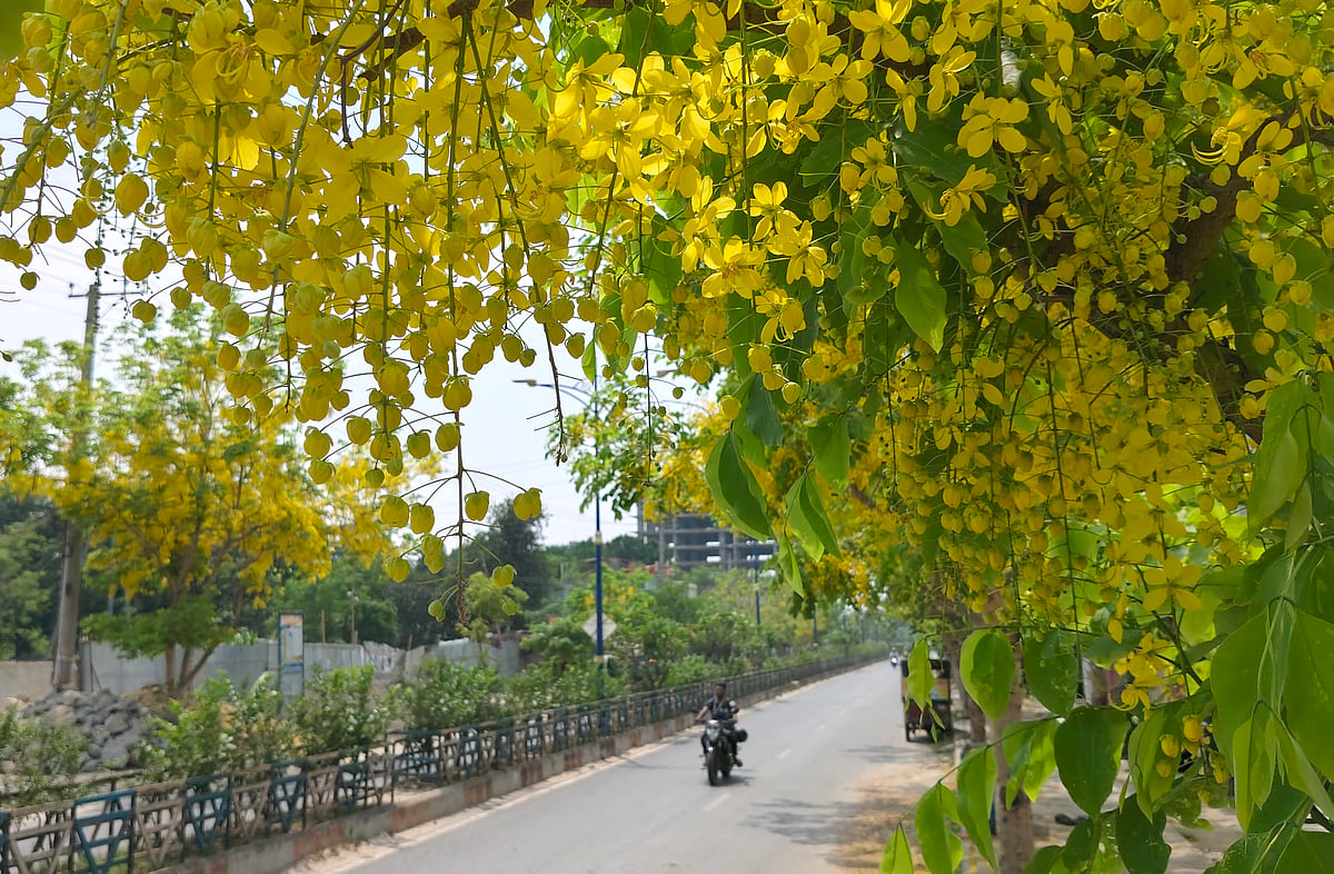 একঝলক (২ মে ২০২৬)