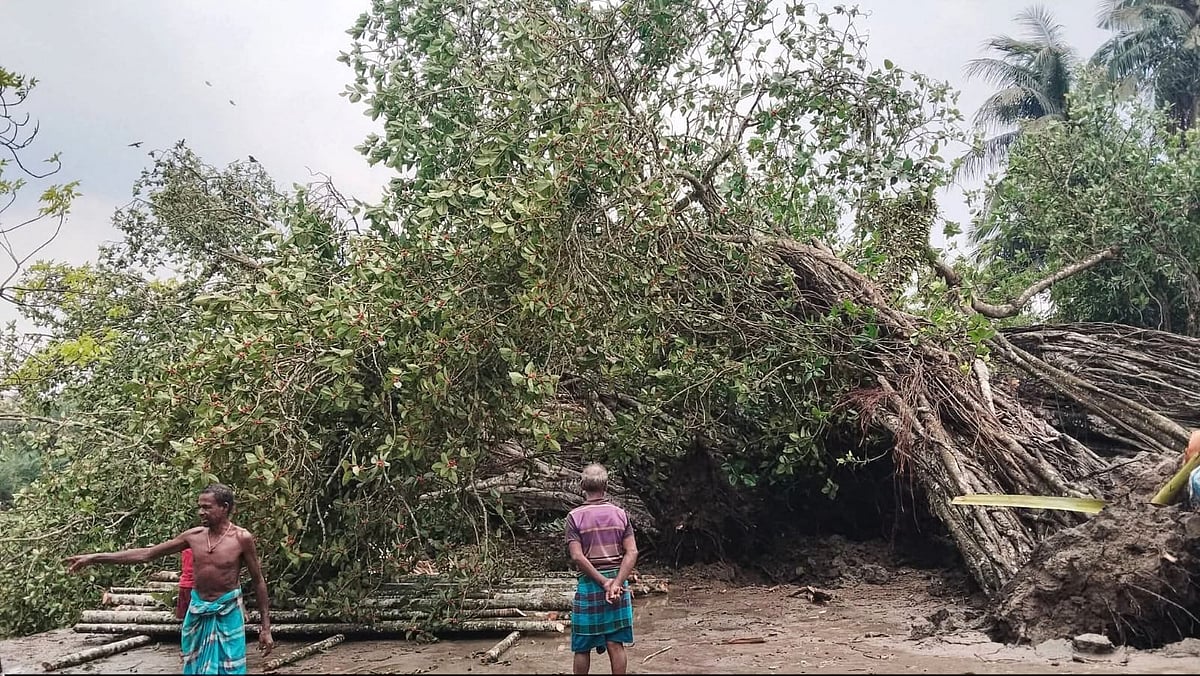 কপোতাক্ষের তীরে উপড়ে গেছে মাইকেল মধুসূদন দত্তের স্মৃতিবিজড়িত বটগাছ