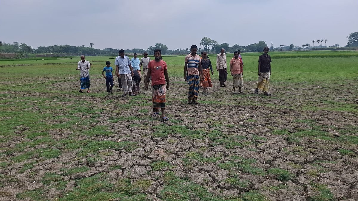বিরোধের জেরে ৪০ বিঘা জমি পতিত রেখে পুকুরে পানি দিচ্ছেন অপারেটর