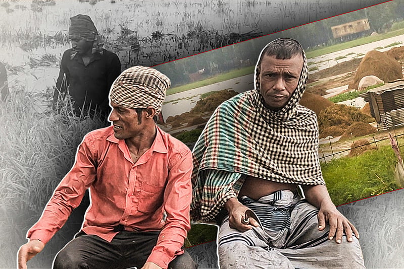 পানিতে ভাসছে কৃষকের স্বপ্ন, ফসলের দুর্দশা দেখে হাসপাতালে ৩ কৃষক