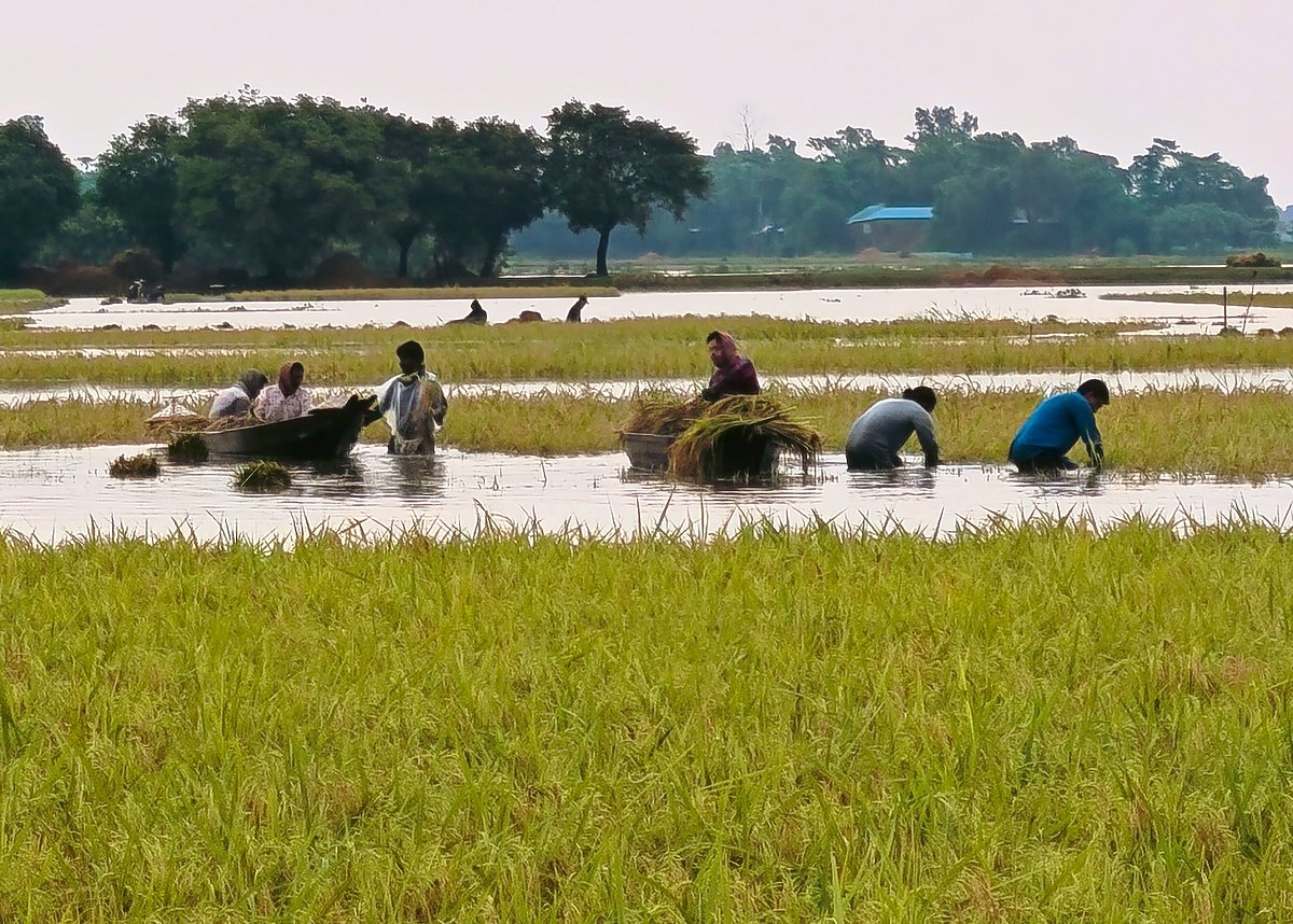 ‘একে তো পানিয়ে মারিয়া গেল,
 অখন মারের বৃষ্টিয়ে’