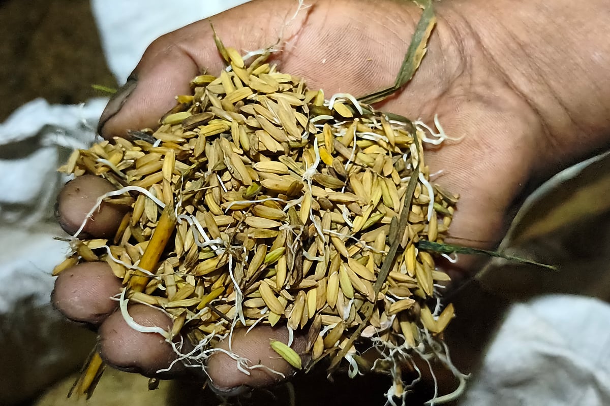ছবি: কল্যাণ প্রসূন  