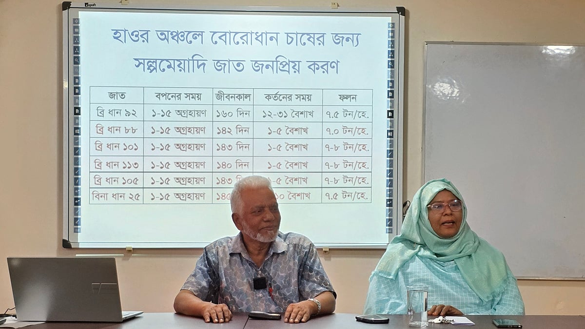 হাওরাঞ্চলে স্বল্পমেয়াদি বোরো ধান চাষে কমবে আগাম বন্যার ক্ষতি