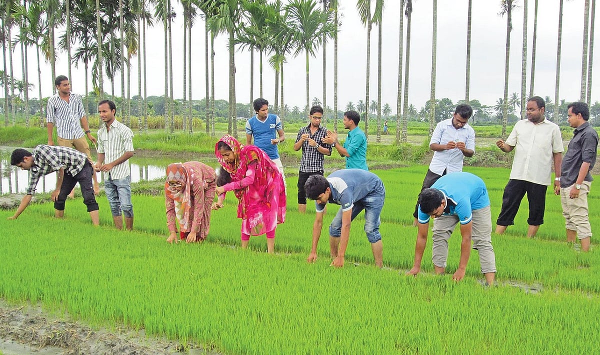 কৃষিবিজ্ঞানীরা কেন পেশা কিংবা দেশ ছেড়ে যাচ্ছেন