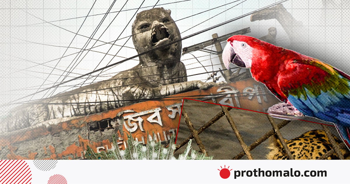 আকর্ষণ হারাচ্ছে গাজীপুর সাফারি পার্ক আকর্ষণ হারাচ্ছে গাজীপুর সাফারি পার্ক