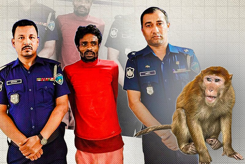 খুনের আসামির সঙ্গে থানায় এল পোষা বানর