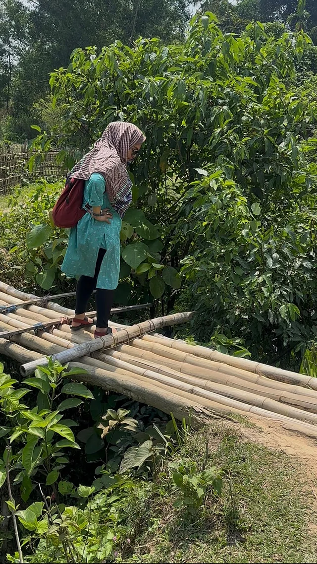 পেরোতে হয় ঝিরির উপর এমন সাকো
