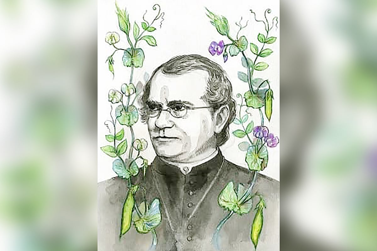 এসএসসি পরীক্ষা ২০২৬। জীববিজ্ঞান: বহুনির্বাচনি প্রশ্ন (অধ্যায়–১২)—বর্ণান্ধতা হলো রং সঠিক চিনতে না পারা
