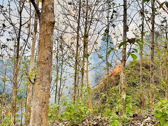 বনের মাঝে আগুন জ্বলে মনে করিয়ে দেয় পালামৌয়ের অপার্থিবতা