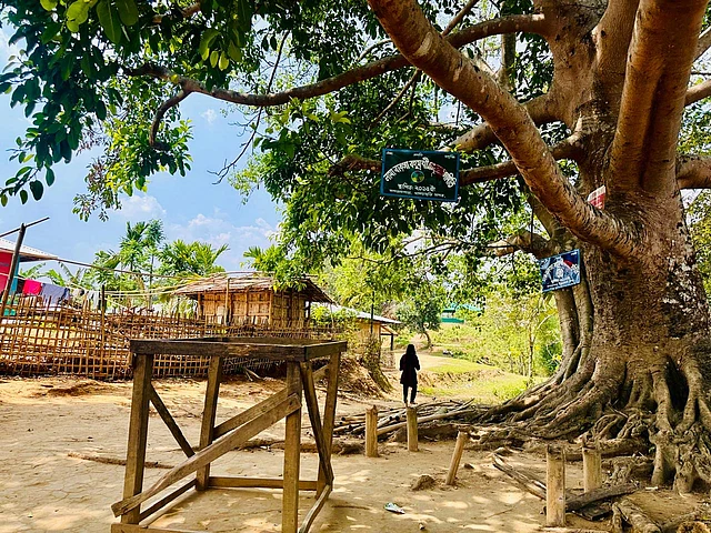 কপতাল পাড়ায় একটু বিস্রাম এই প্রশান্তিময় বৃক্ষের সান্নিধ্যে