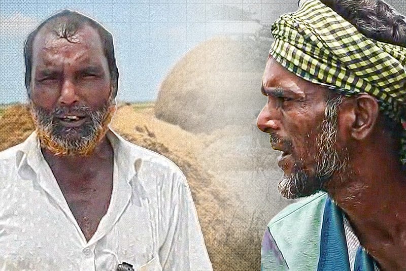 ডুবে যাওয়া ধান কাটছেন হাওরের কৃষকেরা, নষ্ট হয়ে যাচ্ছে অনেক ধান