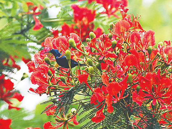 ছবি: লেখক 