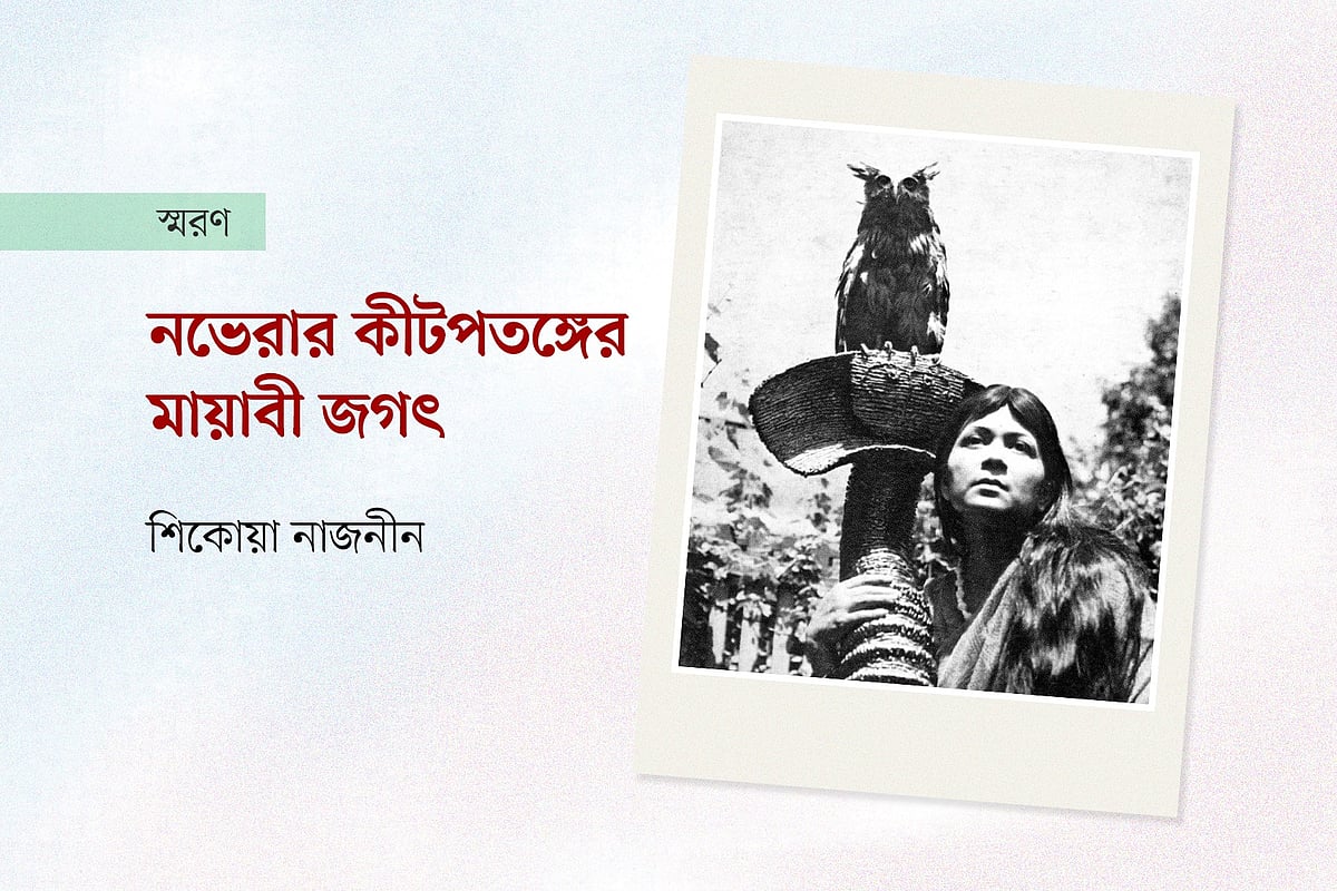 নভেরার কীটপতঙ্গের মায়াবী জগৎ