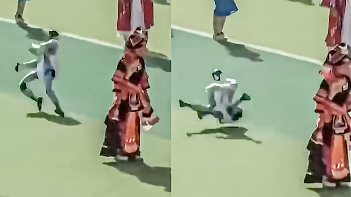 নাচতে গিয়ে হঠাৎ ‘কুংফু’ শুরু করল রোবট